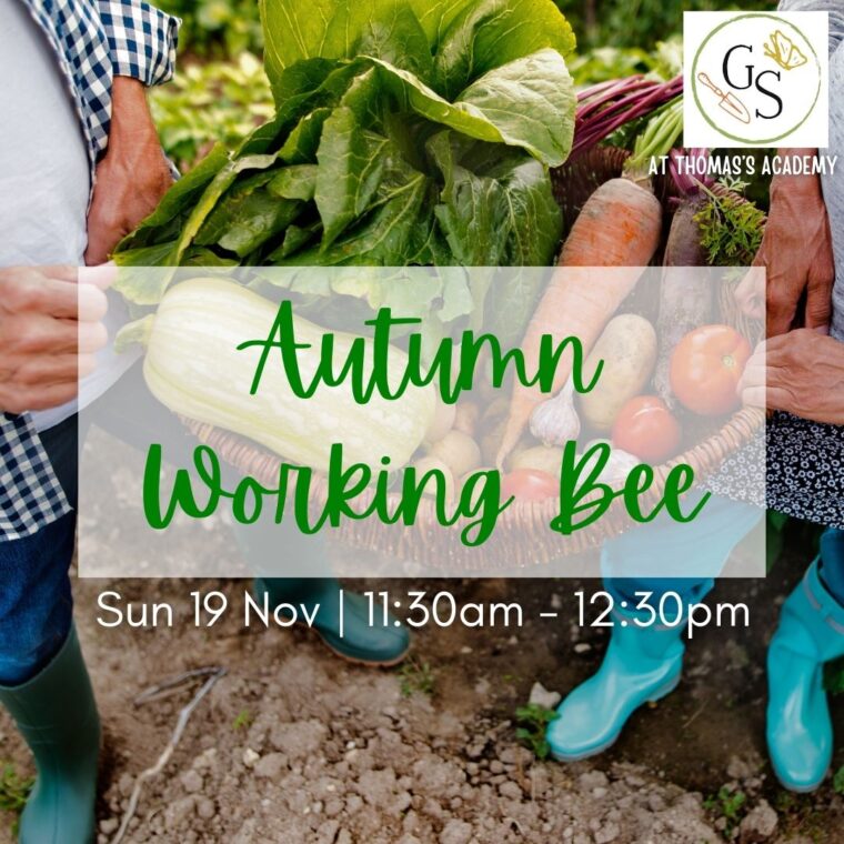 A basket of autumn veggies being carried between 2 people. Text reads Autumn Working Bee at Thomas's Academy on Sunday 19th November 1130am to 1230pm