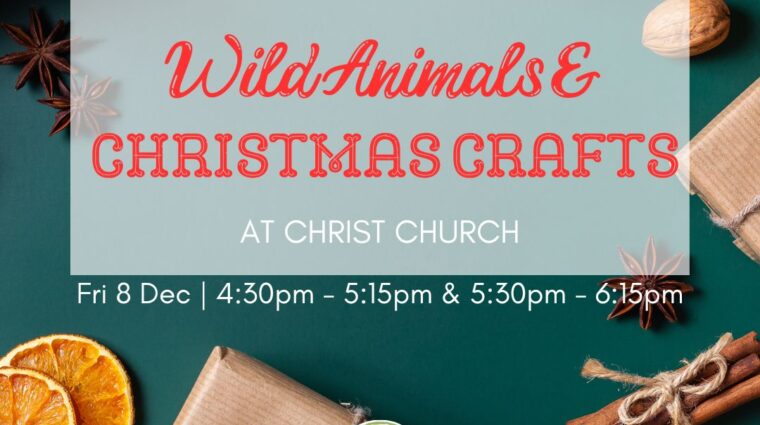 Wild animals and Christmas crafts at Christ Church. Friday 8th December 4:30 to 5:15pm and 5:30 to 6:15pm