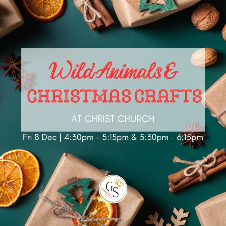 Wild animals and Christmas crafts at Christ Church. Friday 8th December 4:30 to 5:15pm and 5:30 to 6:15pm