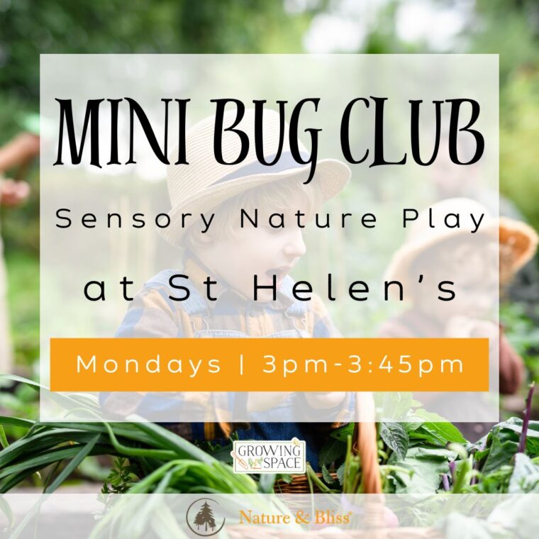 Mini Bug Club sensory nature play at Growing Space St. Helen's on Mondays 3pm to 3:45pm. Growing Space logo, Nature & Bliss logo.