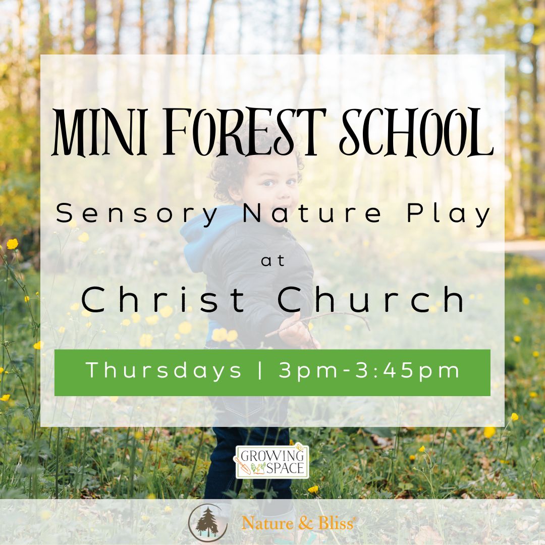 Mini Forest School sensory nature play at Growing Space Christ Church on Thursdays 3:00pm to 3:45pm. Growing Space logo, Nature & Bliss logo.