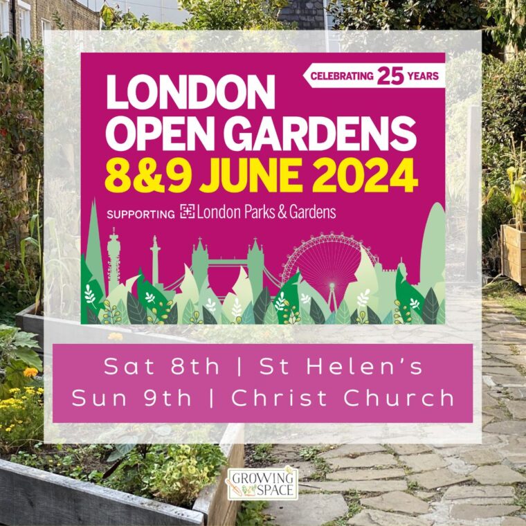 London Open Garden in the Growing Space at St. Helen's Church on Saturday 8th June, and Christ Church on Sunday 9th June