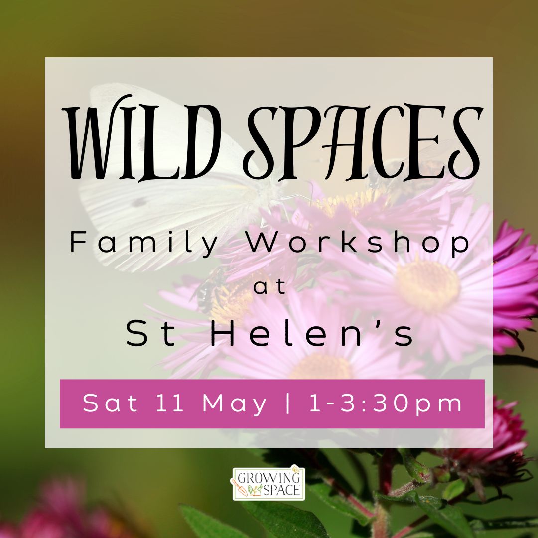 Wild Spaces family workshop in the Growing Space at St. Helen's Church 11th May at 1pm to 3:30pm