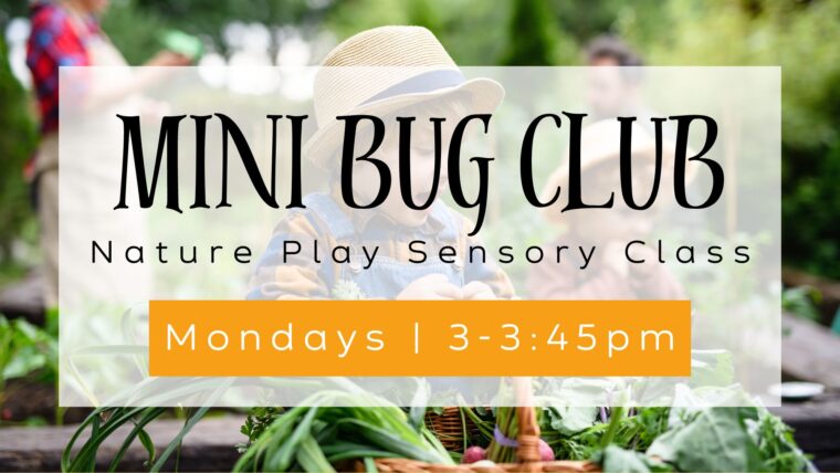 Mini Bug club nature play sensory class on mondays from 3 to 3:45 pm