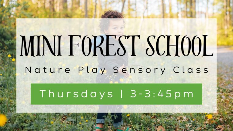 Mini Forest School nature play sensory class on thursdays from 3 to 3:45 pm