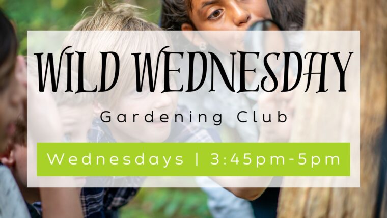 Wild Wednesday an after school gardening club at Growing Space St. Helen's Church on Wednesdays 3:45pm to 5pm.