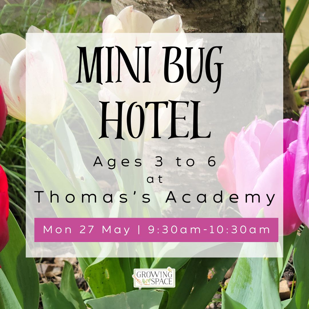 Mini Bug Hotel Workshop Ages 3 to 6, at Thomas's Academy on Monday 27th May at 9:30am to 11:30pm. Growing Space logo.