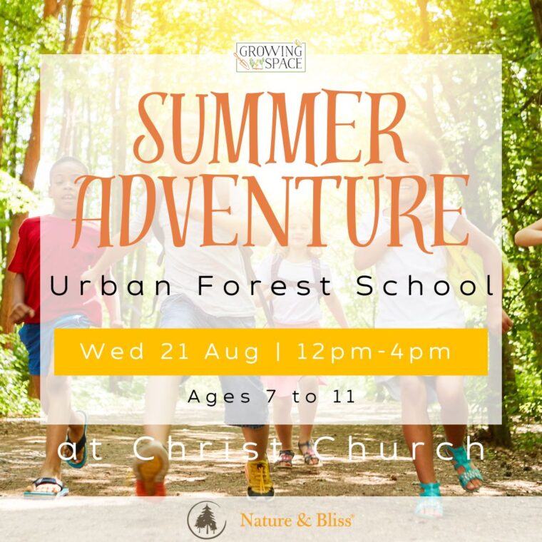 Summer Adventure Urban Forest School at Growing Space Christ Church on Wednesday 21st August from 12pm to 4pm. Nature & Bliss logo.
