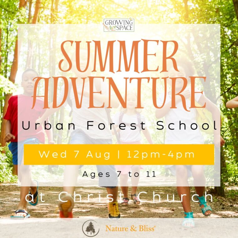 Summer Adventure Urban Forest School at Growing Space Christ Church on Wednesday 7th August from 12pm to 4pm. Nature & Bliss logo.