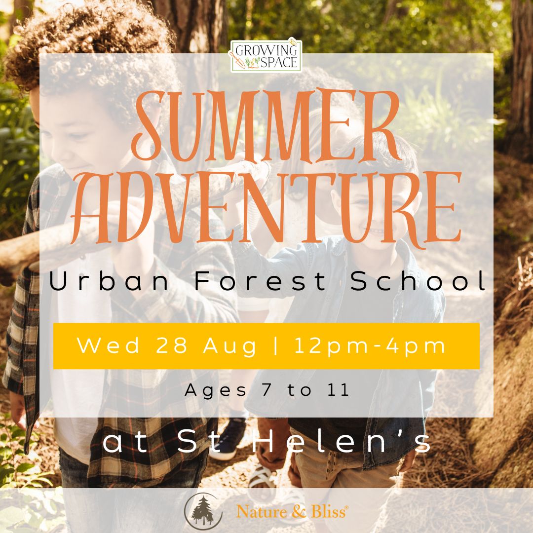 Summer Adventure Urban Forest School at Growing Space St Helen's Wednesday 28th August from 12pm to 4pm. Nature & Bliss logo.