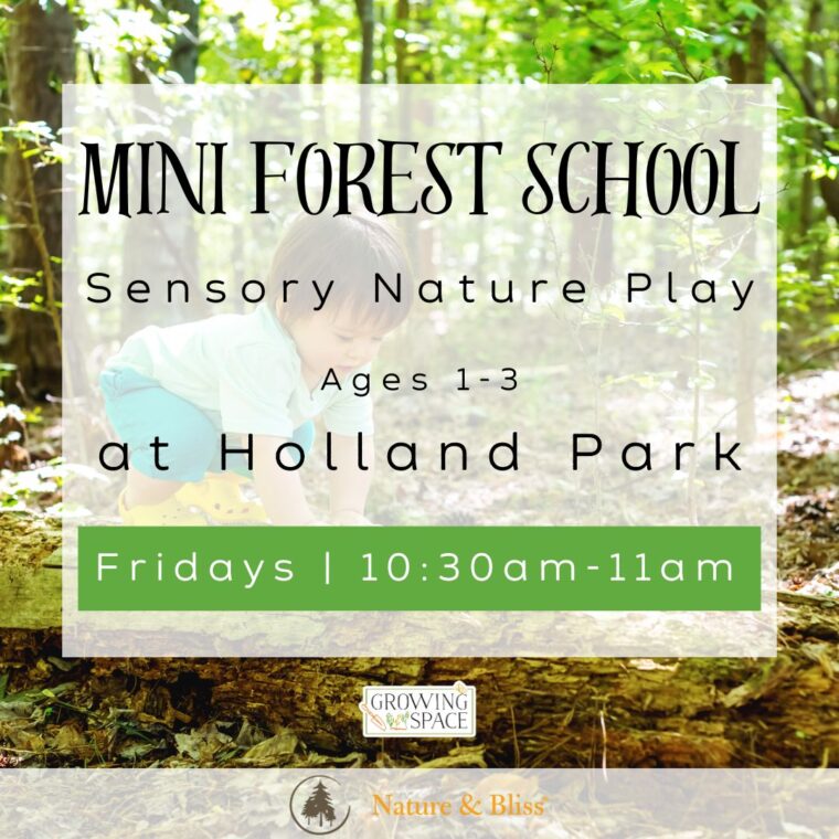 Mini Forest School, sensory nature play for ages 1 to 3, at Holland Park, on Fridays from 10:30 am to 11am. Growing Space logo. Nature & Bliss logo.