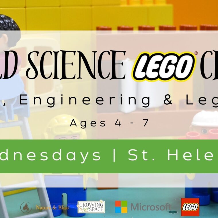 Wild Science Lego Club. Arts, Engineering & Lego! Ages 4 to 7. Wednesdays St. Helen's