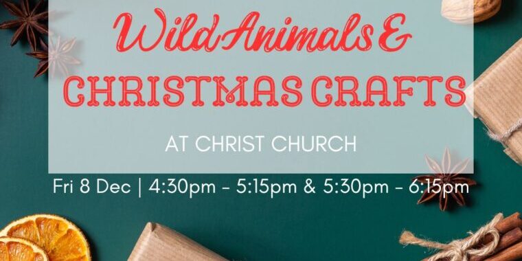 Wild animals and Christmas crafts at Christ Church. Friday 8th December 4:30 to 5:15pm and 5:30 to 6:15pm